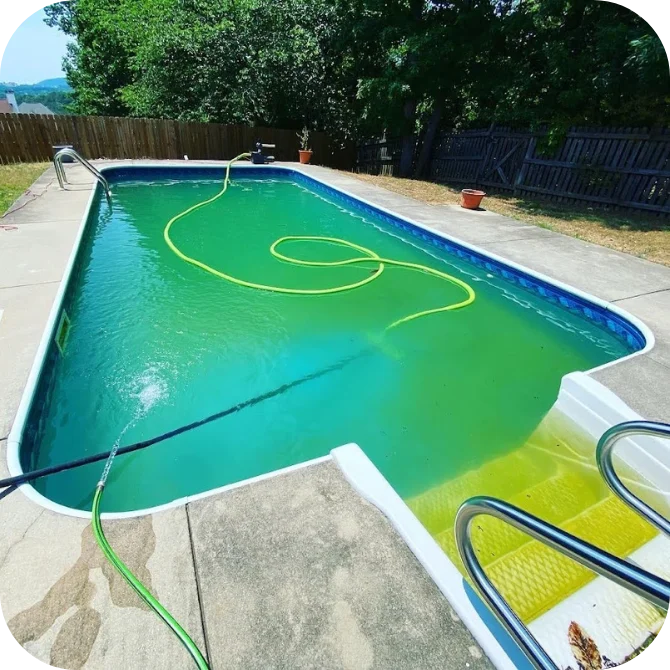 Dirty Green Pool