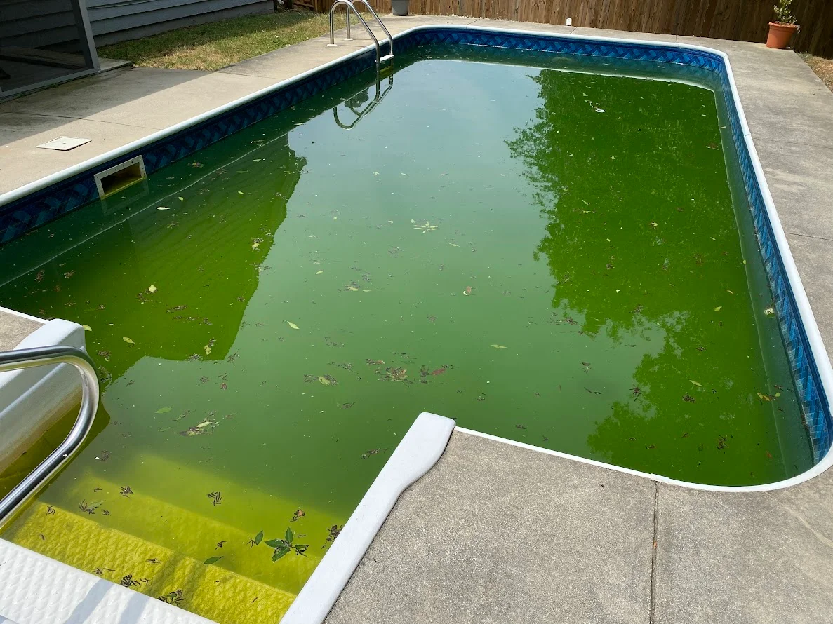 Pool With Green Algae