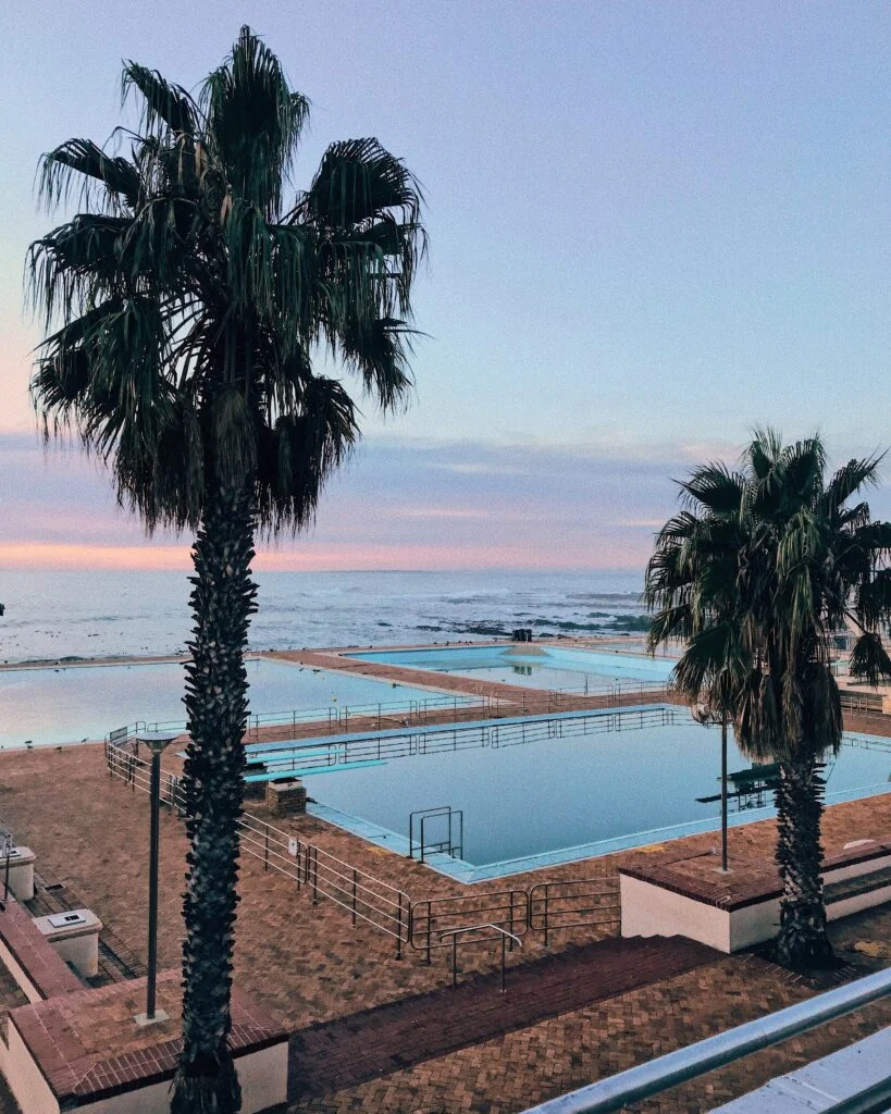 Two Palm Trees By An Ocean Pool